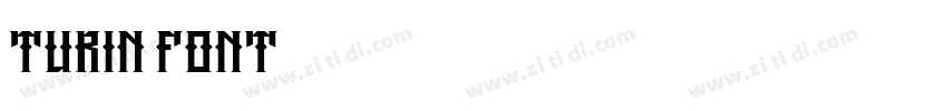Turin Font字体转换